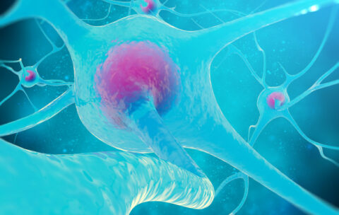 neural-network-brain-cells-nervous-system_92790-80