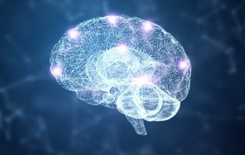 Выслушивание второго мозга — энтеральной нервной системы (CLSB)