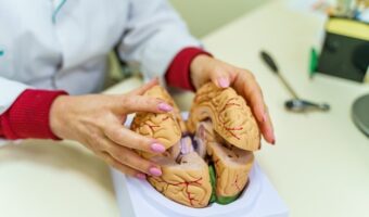 Первичные рефлексы и развитие мозга