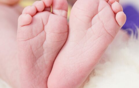 hand-petal-leg-young-finger-foot-child-nail-baby-mouth-close-up-human-body-nose-infant-organ-toe-children's-feet-sense-723841