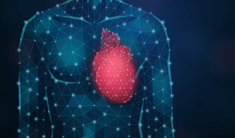 Биодинамика сердца