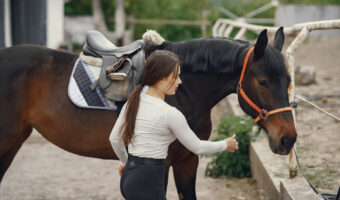 Иппотерапия