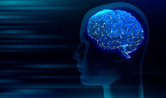 Нейродинамика