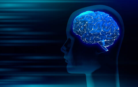 Нейродинамика