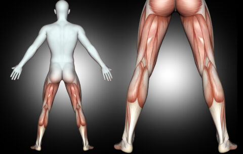 Мышечные повреждения нижних конечностей